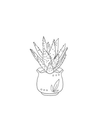 Раскраска комнатные растения алоэ