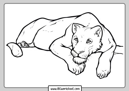 Рисунок пантеры карандашом для срисовки