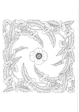 Раскраски Медитативные мандалы