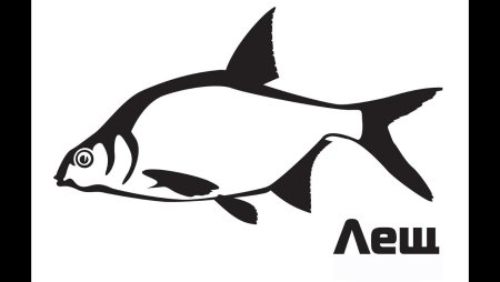 Силуэт рыбы