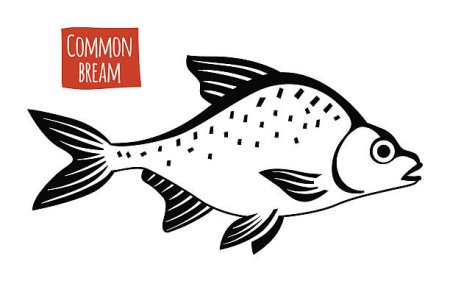 Векторный лещ