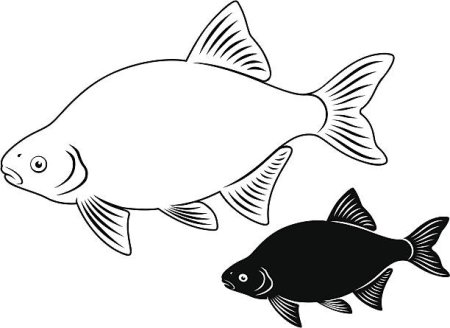 Лещ раскраска