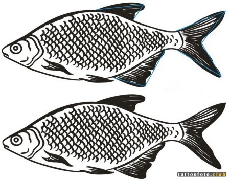 Карась раскраска