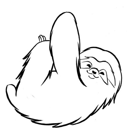 Раскраска Ленивец распечатать