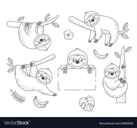 Ленивец раскраска