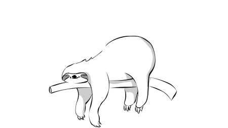 Ленивец раскраска для детей