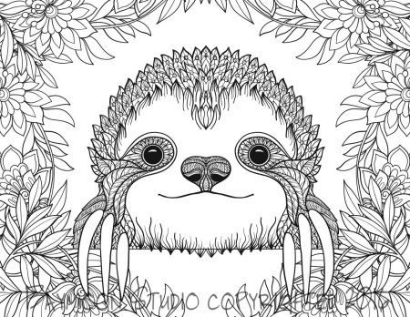 Ленивец рисунок