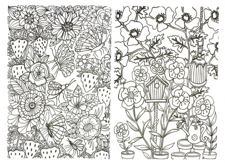 Раскраска антистресс