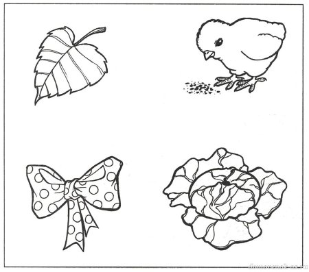 Парные картинки раскраски