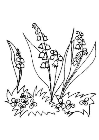 Ландыш раскраска для детей