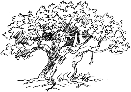 Лукоморье картинки раскраски