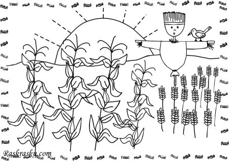 Растения поля раскраска