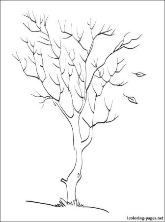 Осеннее дерево раскраска
