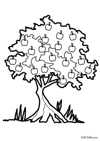 Раскраска природа