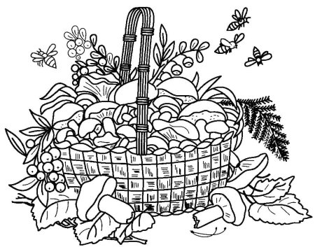 Натюрморт раскраска