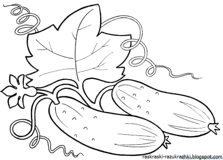 Огурец раскраска