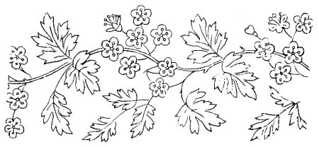Растительный орнамент для раскрашивания
