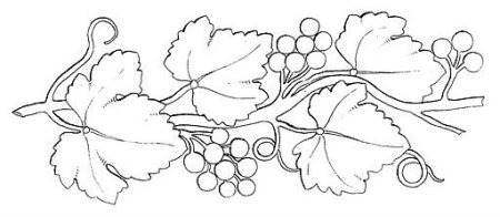 Растительный орнамент в полосе виноград