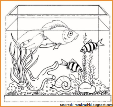 Раскраска аквариум с рыбками