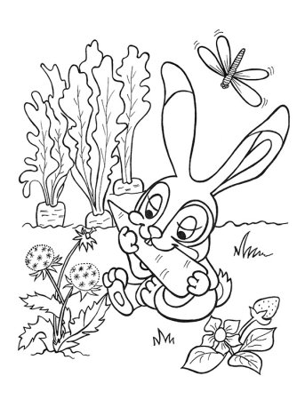 Заяц с морковкой раскраска