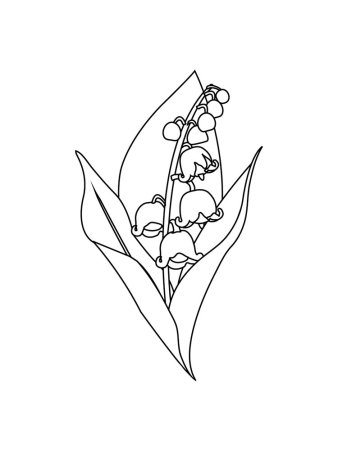 Ландыш Майский черно белый