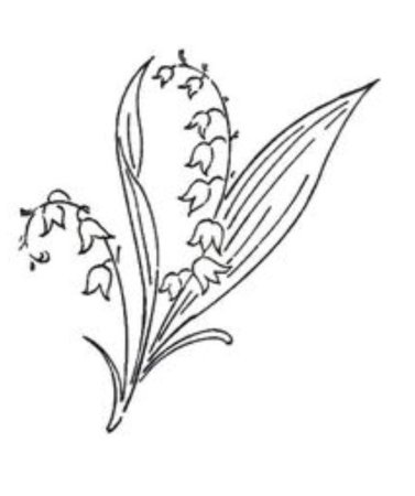 Ландыш раскраска