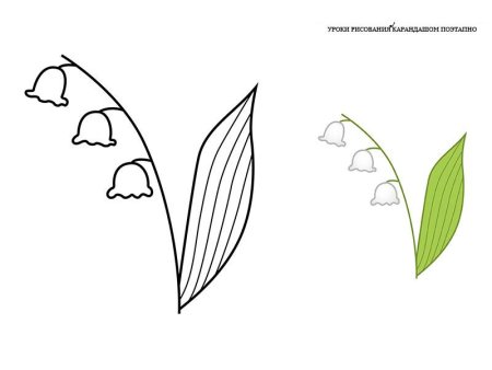 Ландыш Майский печатать