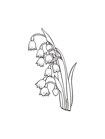 Ландыш Майский разукрашка