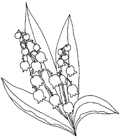 Ландыш раскраска для детей