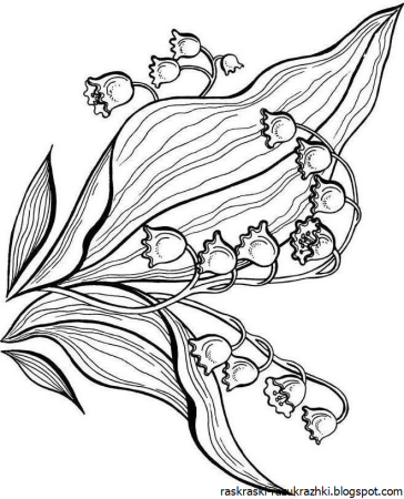 Ландыш раскраска для детей