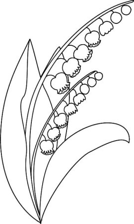 Ландыш раскраска для детей