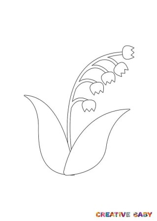 Ландыш Майский раскраска