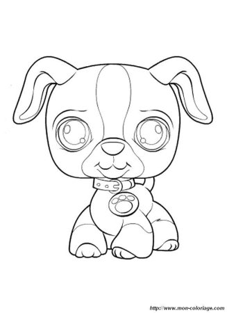 Раскраска Littlest Pet shop собаки