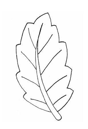 Листья раскраска