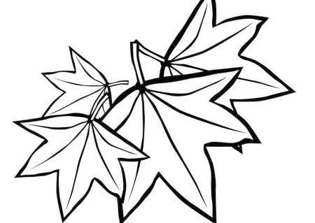 Листочки для раскрашивания с детьми