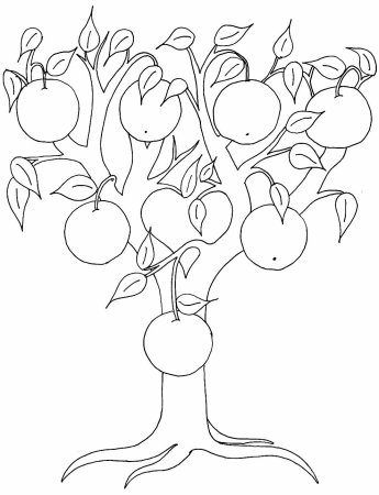 Семейное дерево раскраска