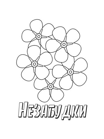 Незабудка цветок раскраска
