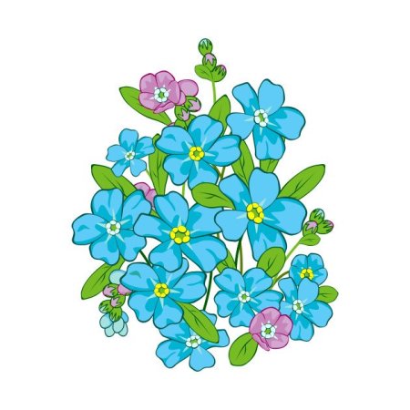 Незабудка цветок раскраска