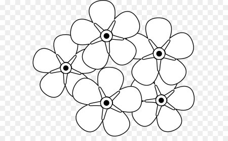 Рисунок незабудки для раскрашивания