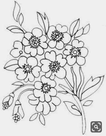 Незабудка цветок раскраска