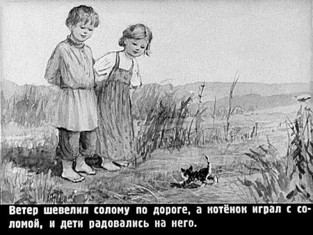 Раскраска спящий котенок