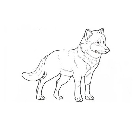 Раскраска к басне волк и ягненок