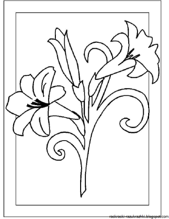 Картина раскраска для детей