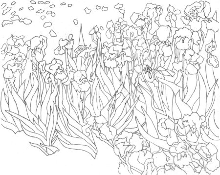 Ирисы Ван Гог раскраска