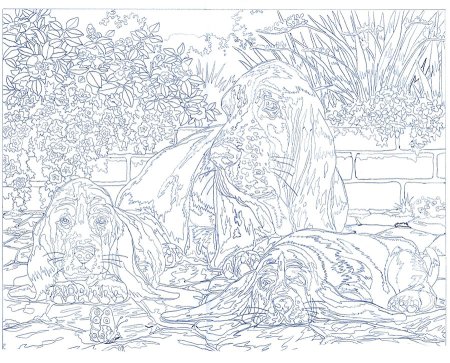 Картины для раскрашивания для взрослых