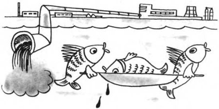 Раскраска на тему экология