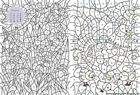 Раскраска по номерам