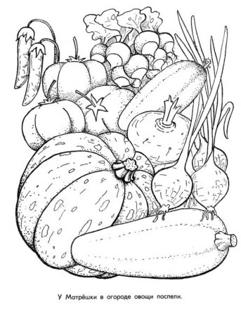 Раскраска урожай
