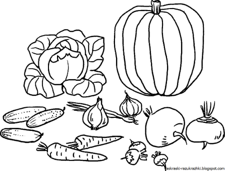 Овощи раскраска для детей