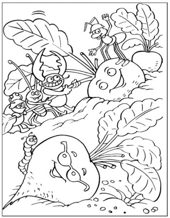 Огород раскраска для детей